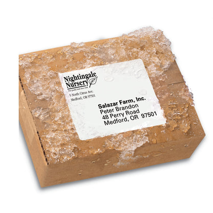 Avery Label 5524, 3-1/3" x 4", 300 Count – view 4