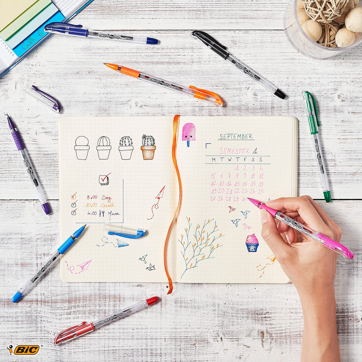BIC Writing Instrument RGSMP14-AST, 14 Count – view 5