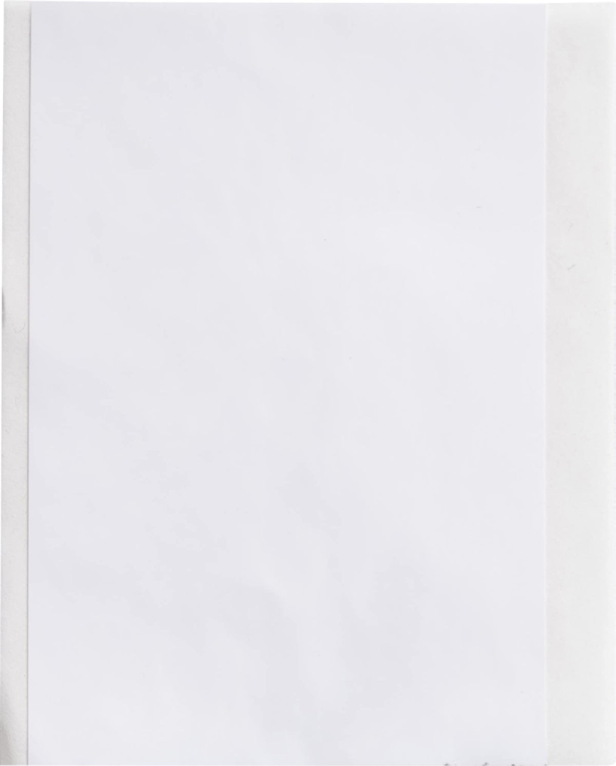Brady Label M6C-2000-595-WT, Roll of 50 ft – view 2
