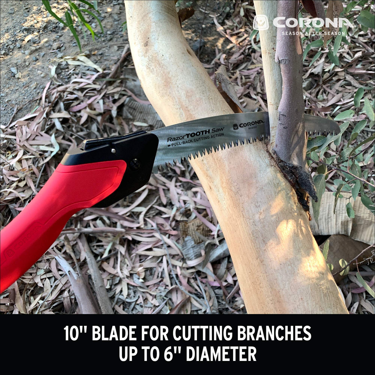 Corona Clipper Saw RS16150, 10-Inch – view 5