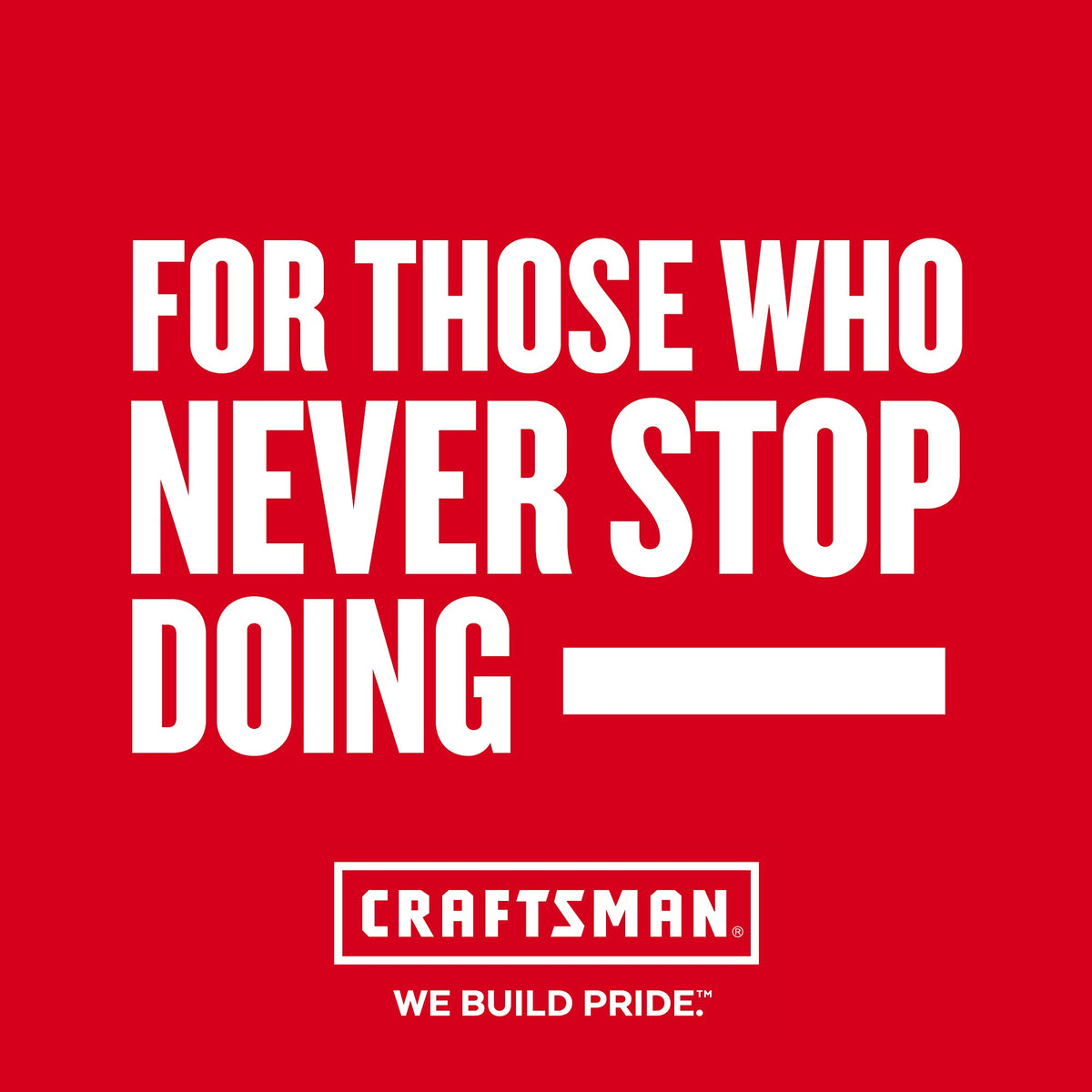 CRAFTSMAN Tool Belt CMMT98279, One Size – view 3