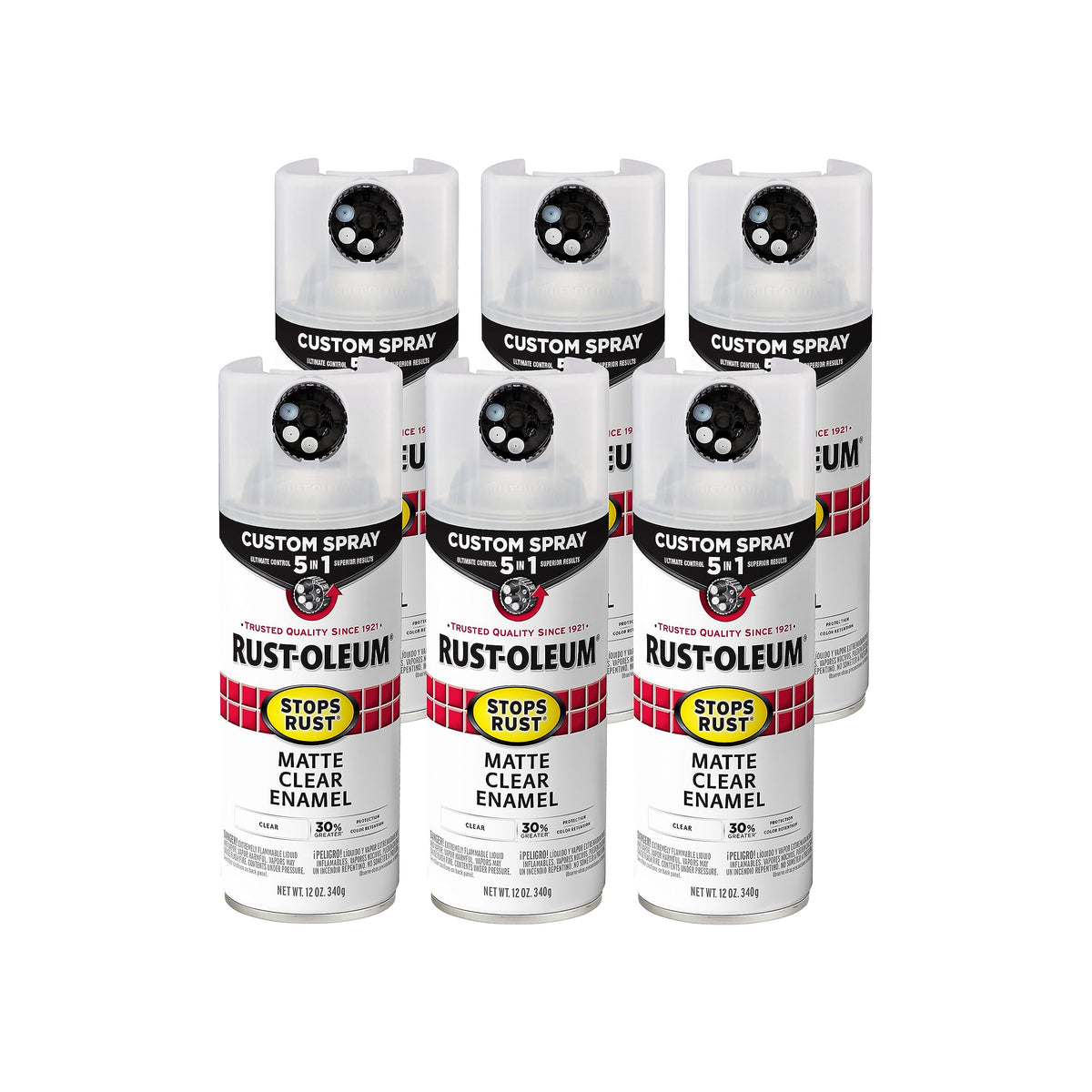 Rust-Oleum Paint 376868-6PK, 12 Ounce (Pack of 6)