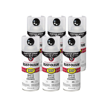 Rust-Oleum Paint 376868-6PK, 12 Ounce (Pack of 6)