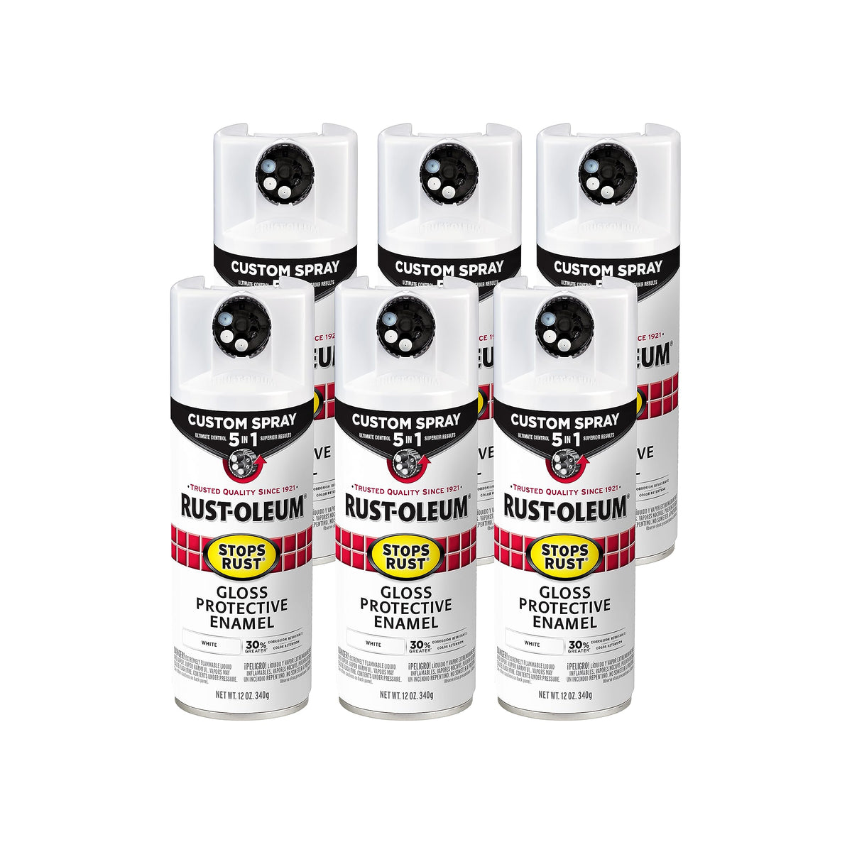 Rust-Oleum Paint 376886-6PK, 12 Ounce (Pack of 6)