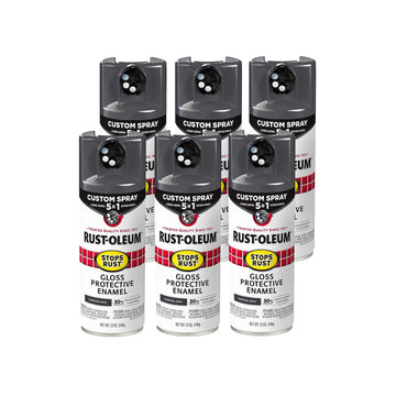 Rust-Oleum Paint 376888-6PK, 12 Ounce (Pack of 6)