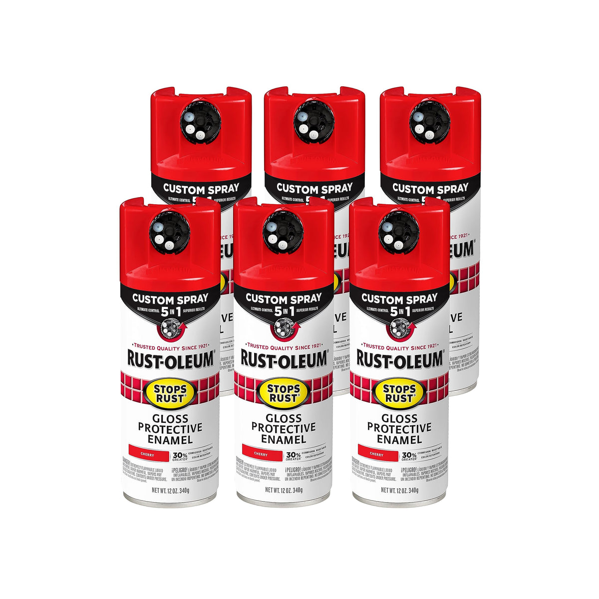 Rust-Oleum Paint 376889-6PK, 12 Ounce (Pack of 6)