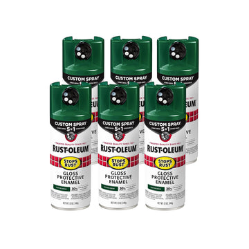 Rust-Oleum Paint 376891-6PK, 12 Ounce (Pack of 6)