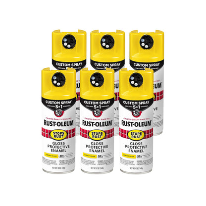 Rust-Oleum Paint 376898-6PK, 12 Ounce (Pack of 6)