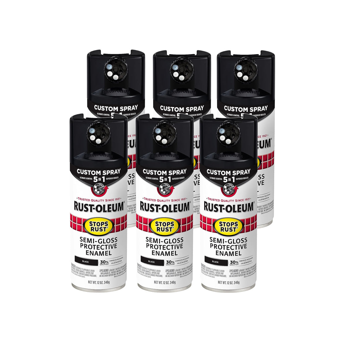 Rust-Oleum Paint 376909-6PK, 12 Ounce (Pack of 6)