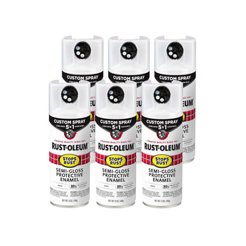 Rust-Oleum Paint 376910-6PK, 12 Ounce (Pack of 6)