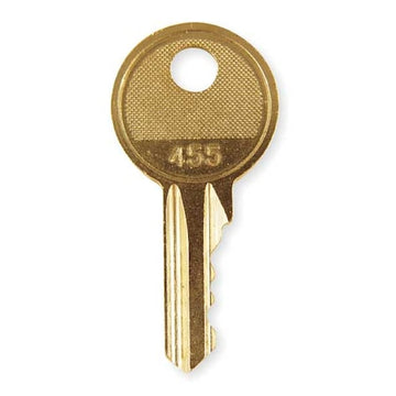 Schneider Electric Key Control Item Q99900901 - product photo 1