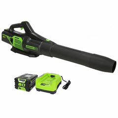 Greenworks Lawn Garden Tool 2424402VT - product photo 1