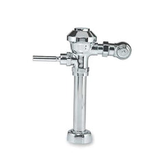 Zurn Flush Valve Z6003-WS1-YB-YC - product photo 1