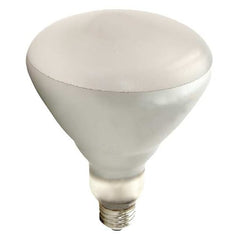 Shat-R-Shield Light Bulb 125BR40/1 - product photo 1