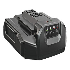 EGO Power Tool Accessory CH2100 - product photo 1