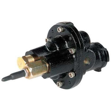 Dayton Positive Displacement Pump 4KHR1 - product photo 1