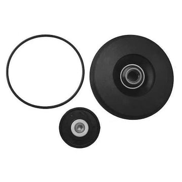 Dayton Pump Part PPHIBOSEALKITG - product photo 1