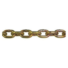 Peerless Chain Lifting Equipment 5041620 - product photo 1