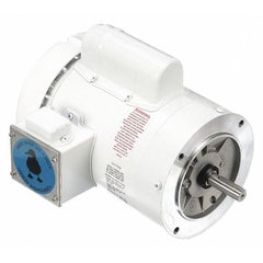 Leeson Motor 114317.00 - product photo 1