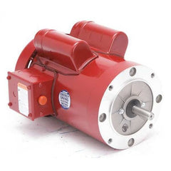 Leeson Motor 110495.00 - product photo 1
