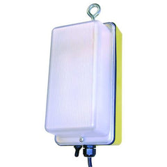 W F Harris Lighting Work Light 30-WL-1K-LED - product photo 1