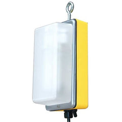 W F Harris Lighting Work Light 30-WL-42-PLT - product photo 1