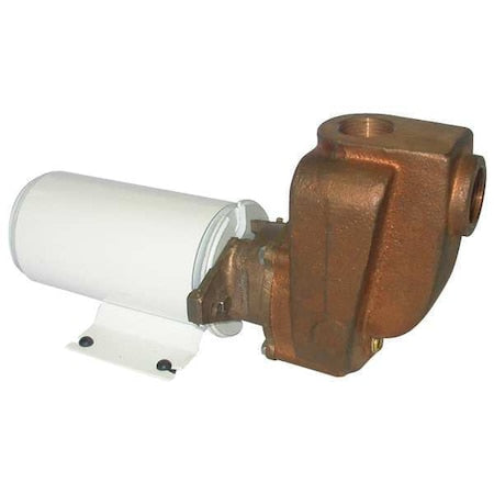 Dayton Pump 5PXX5 - product photo 1