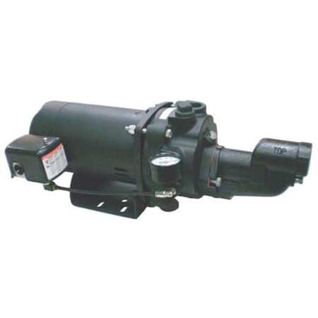 Dayton Well Pump 5UXJ8 - product photo 1