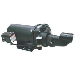 Dayton Well Pump 5UXJ8 - product photo 1