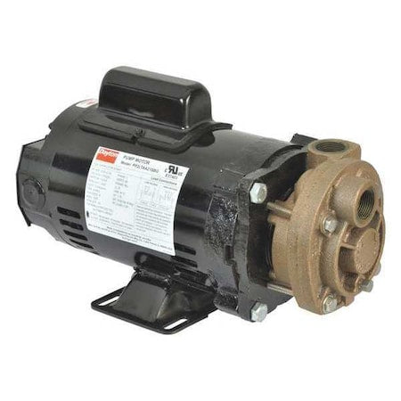Dayton Pump 53EA94 - product photo 1
