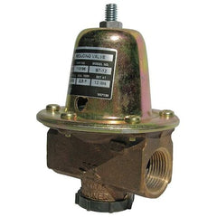 Bell & Gossett Pipe Fitting 110196LF - product photo 1