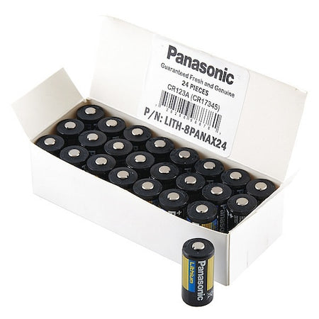 Panasonic Battery LITH-8PANAX24 - product photo 1