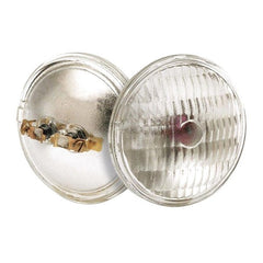 Satco Light Bulb S4323 - product photo 1