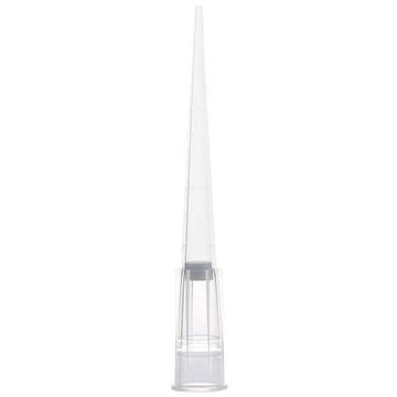 Globe Scientific Lab Instrument 150915 - product photo 1
