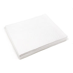 Stardust Spill Products Cleaning Supply 1SDWPB - product photo 1