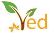Ved